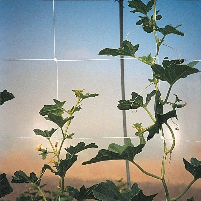 Hortonova Trellis Netting, 6-1/2 Feet X 30 Feet 20 Hortonova Trellis Netting, 6-1/2 Feet X 30 Feet - Image 20