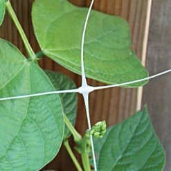 Hortonova Trellis Netting, 6-1/2 Feet X 30 Feet 23 Hortonova Trellis Netting, 6-1/2 Feet X 30 Feet -Garden And Outdoor Store tn630 3