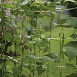 Hortonova Trellis Netting, 6-1/2 Feet X 30 Feet 26 Hortonova Trellis Netting, 6-1/2 Feet X 30 Feet -Garden And Outdoor Store tn630 6