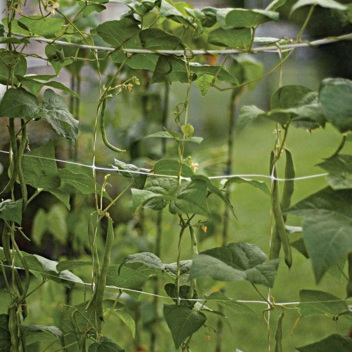 Hortonova Trellis Netting, 6-1/2 Feet X 30 Feet 7 Hortonova Trellis Netting, 6-1/2 Feet X 30 Feet - Image 7