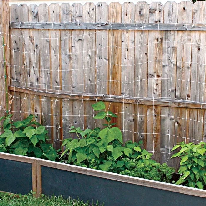 Hortonova Trellis Netting, 6-1/2 Feet X 50 Feet 11 Hortonova Trellis Netting, 6-1/2 Feet X 50 Feet - Image 11