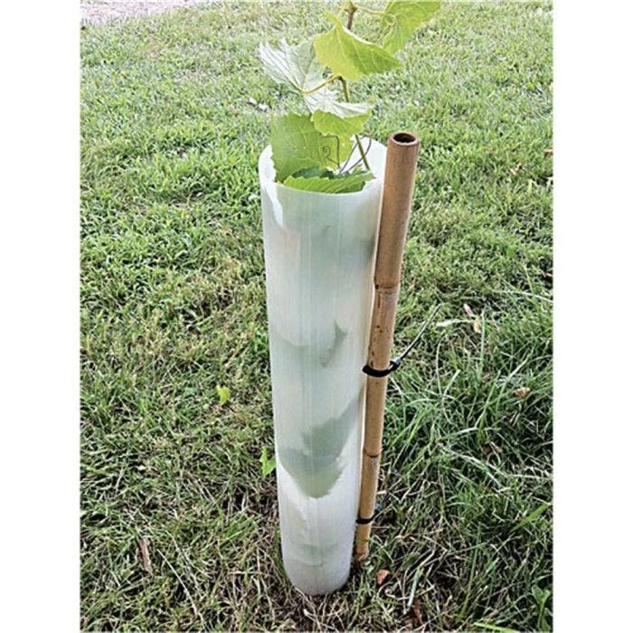 Tree Pro 60-Inch Slit Tube Tree Shelters, Bundle Of 5 3 Tree Pro 60-Inch Slit Tube Tree Shelters, Bundle Of 5 - Image 3