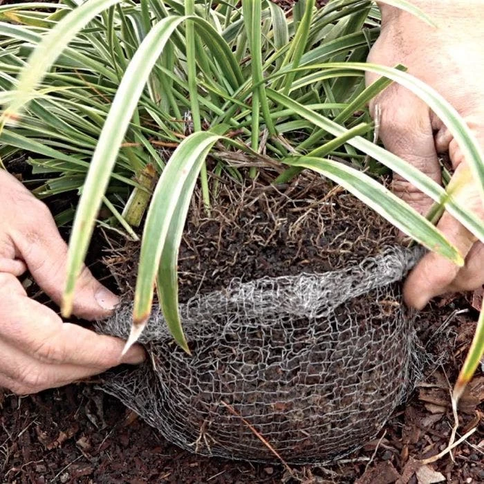 Vole King 1-Gallon Plant Baskets, Pack Of 4 4 Vole King 1-Gallon Plant Baskets, Pack Of 4 - Image 4