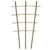 Bamboo Trellis Ladder Fan Bundles Of 50