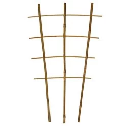 Bamboo Trellis Ladder Fan Bundles Of 50