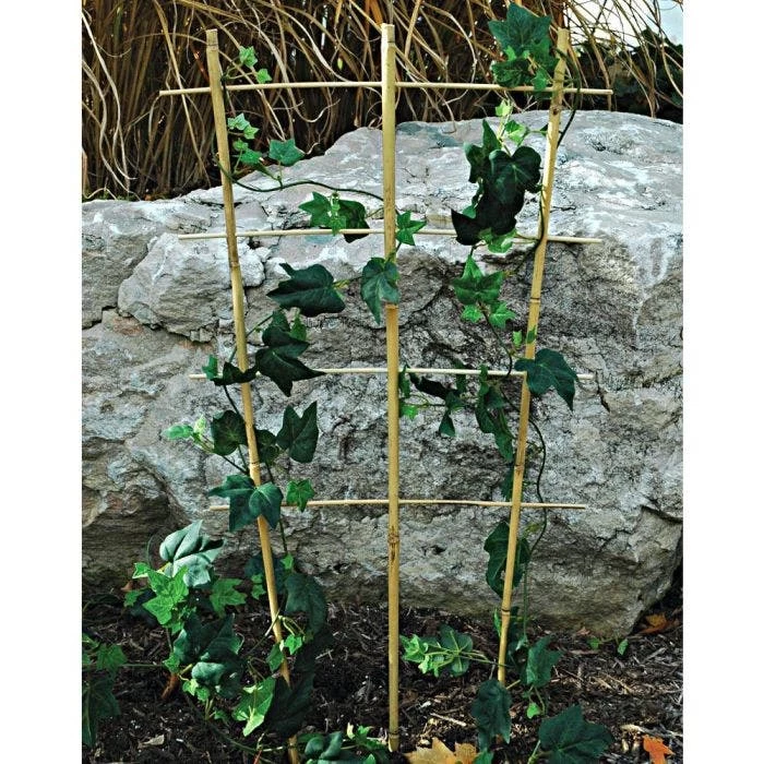 Bamboo Trellis Ladder Fan Bundles Of 50 2 Bamboo Trellis Ladder Fan Bundles Of 50 - Image 2