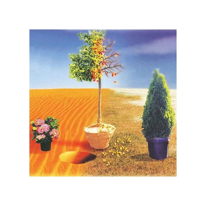 BioPlex Transplant Concentrate & Plant Enhancer 1 BioPlex Transplant Concentrate & Plant Enhancer