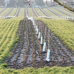 Tree Guard Corrugated Plastic Black White 32in X 12in -Garden And Outdoor Store vp cptg 1 1