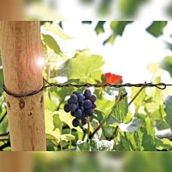 DuraLine Monofilament Trellis Line 6 DuraLine Monofilament Trellis Line -Garden And Outdoor Store vp duraline 2