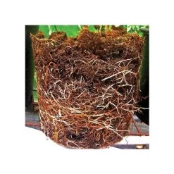 Grotab 3-in-1 Premium Plant Starter (12-8-4) -Garden And Outdoor Store vp gt 2