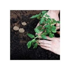 Grotab 3-in-1 Premium Plant Starter (12-8-4) -Garden And Outdoor Store vp gt 3