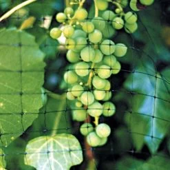 No Tangle Heavy Duty Bird Netting -Garden And Outdoor Store vp hdn 2