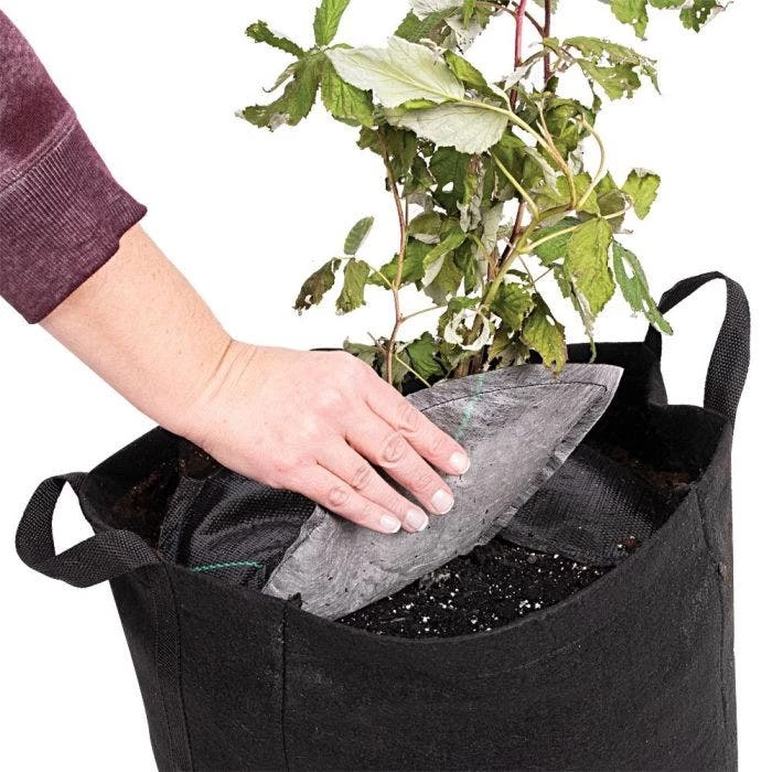 TreeDiaper Twin Packs 7 TreeDiaper Twin Packs - Image 7