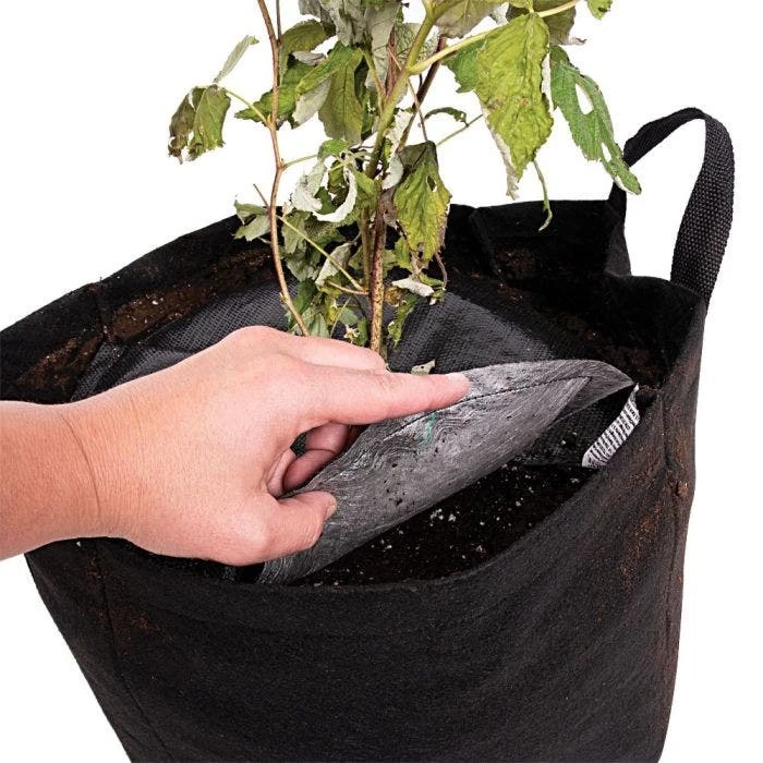 TreeDiaper Twin Packs 8 TreeDiaper Twin Packs - Image 8