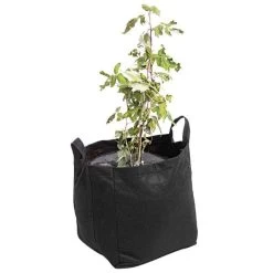 TreeDiaper Twin Packs 19 TreeDiaper Twin Packs -Garden And Outdoor Store vp tdtwin 9