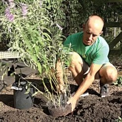 Vole King Plant Baskets -Garden And Outdoor Store vp vkbasket 7