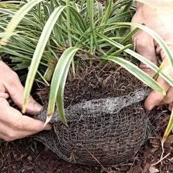 Vole King Plant Baskets -Garden And Outdoor Store vp vkbasket 8