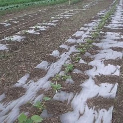 Biodegradable Paper Mulch, 4 Feet By 100 Feet 17 Biodegradable Paper Mulch, 4 Feet By 100 Feet -Garden And Outdoor Store wg48100f 8