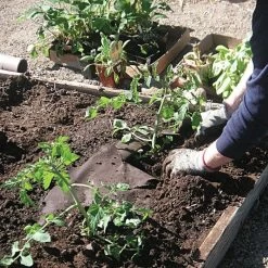 Biodegradable Paper Mulch, 4 Feet By 500 Feet 11 Biodegradable Paper Mulch, 4 Feet By 500 Feet -Garden And Outdoor Store wg48500f 2