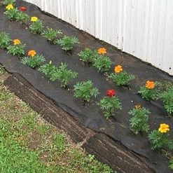 Biodegradable Paper Mulch, 4 Feet By 500 Feet 15 Biodegradable Paper Mulch, 4 Feet By 500 Feet -Garden And Outdoor Store wg48500f 6