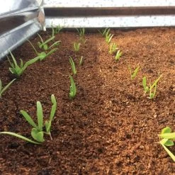 Wonder Soil Expand & Plant Organic Planting Mix, 2.5 Cu. Ft. -Garden And Outdoor Store wsepoc25 2