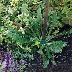 Weed Wand Magic Applicator With 3 Replacement Tips -Garden And Outdoor Store wwata 3