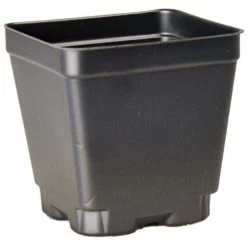 Landmark 4-in Square Press Fit Pots, Case Of 450