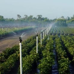 Wobbler Sprinkler Max Coverage 1/2in Standard 44.5-53.5 @ 1.5ft Above Crop Spray Diameter -Garden And Outdoor Store xc10 12 2